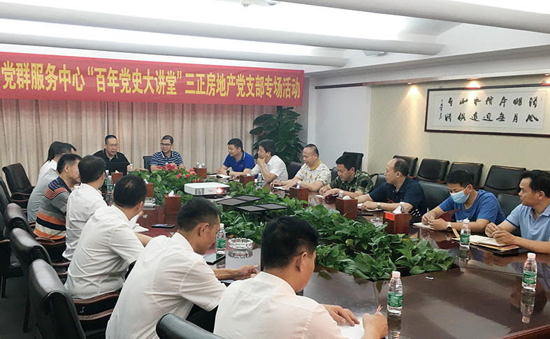 三正房地產黨支部舉行“百年黨史大講堂”主題黨日活動.jpg